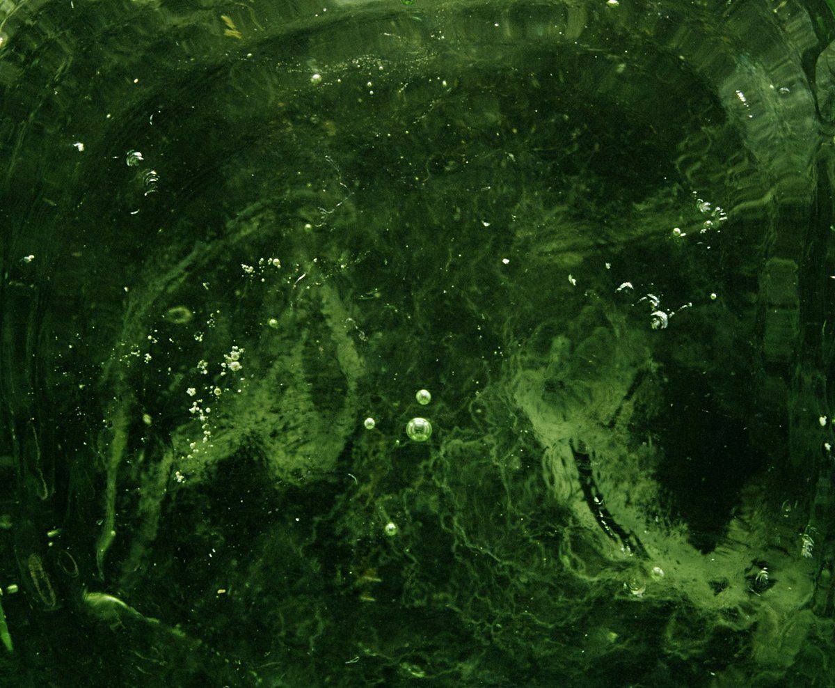 Eau verte parcourue de petites bulles